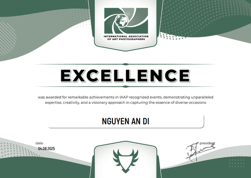 Nhiếp ảnh gia Nguyễn An Di AWARDS 01