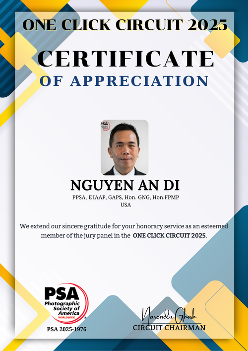 Nhiếp ảnh gia Nguyễn An Di AWARDS 09