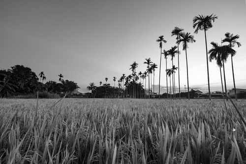 Nhiếp ảnh gia Nguyễn An Di - Landscape NAD11986_
