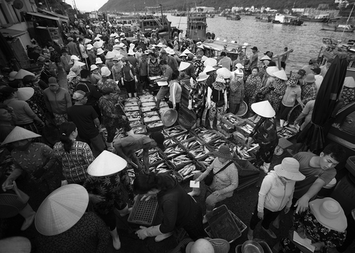 Nhiếp ảnh gia Nguyễn An Di - Street life DSC05404_